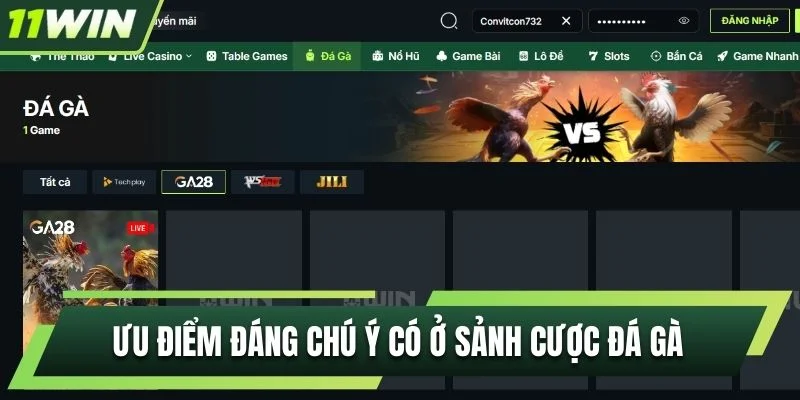 Ưu điểm đáng chú ý có ở sảnh cược đá gà 